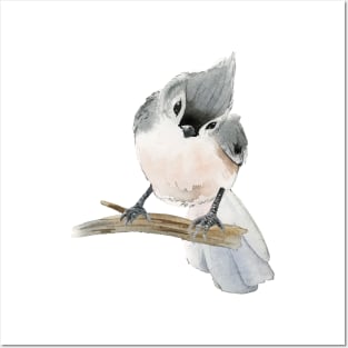 Titmouse Bird Watercolor Posters and Art